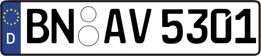 BN-AV5301