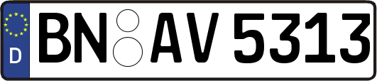 BN-AV5313