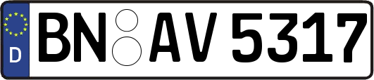 BN-AV5317