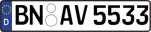 BN-AV5533