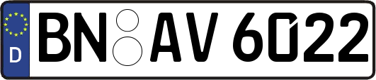 BN-AV6022