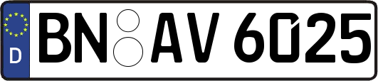 BN-AV6025