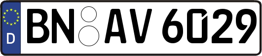 BN-AV6029