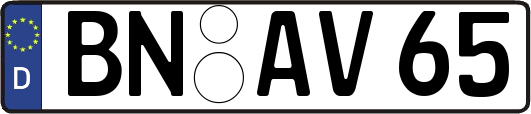 BN-AV65