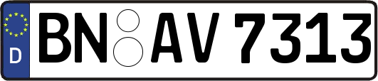 BN-AV7313