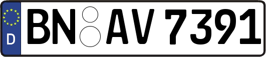 BN-AV7391