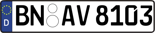 BN-AV8103