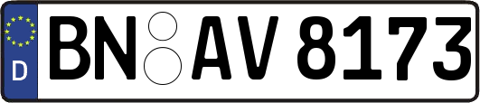 BN-AV8173