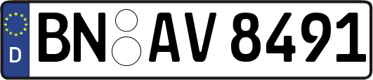 BN-AV8491