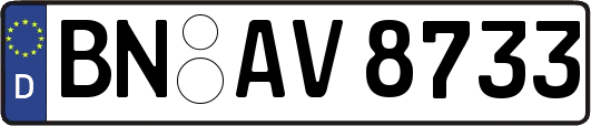 BN-AV8733