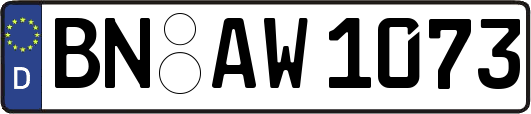 BN-AW1073