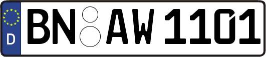 BN-AW1101