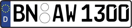 BN-AW1300