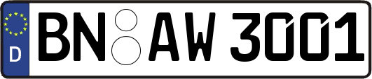 BN-AW3001