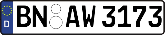 BN-AW3173