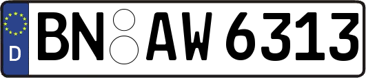 BN-AW6313