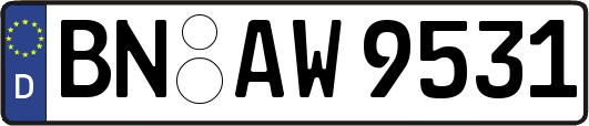 BN-AW9531
