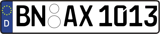 BN-AX1013
