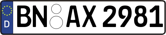 BN-AX2981
