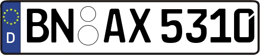 BN-AX5310