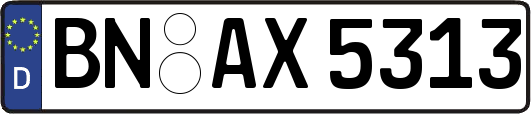 BN-AX5313
