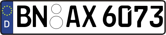 BN-AX6073