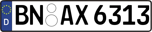 BN-AX6313