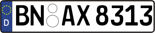BN-AX8313