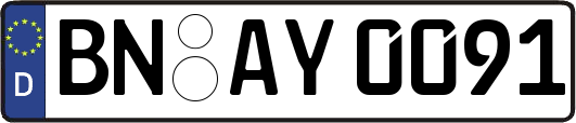 BN-AY0091