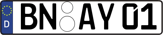 BN-AY01