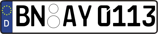 BN-AY0113