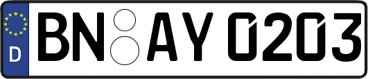 BN-AY0203