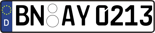 BN-AY0213