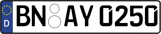 BN-AY0250
