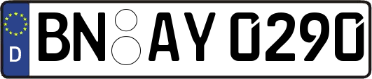 BN-AY0290