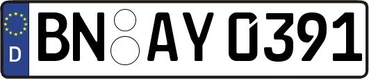 BN-AY0391
