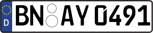 BN-AY0491