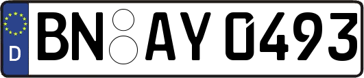 BN-AY0493