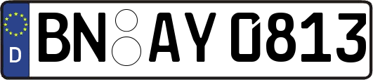 BN-AY0813