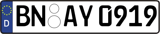 BN-AY0919