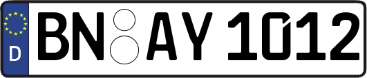 BN-AY1012
