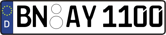 BN-AY1100