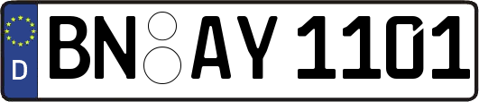 BN-AY1101