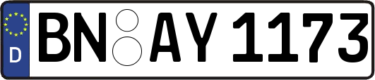 BN-AY1173