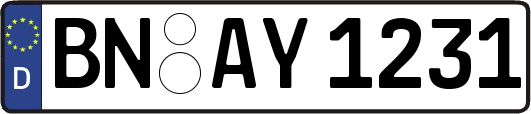 BN-AY1231