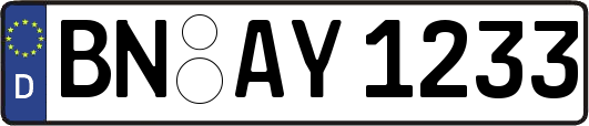 BN-AY1233