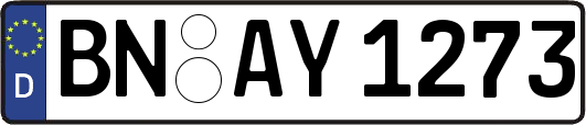 BN-AY1273