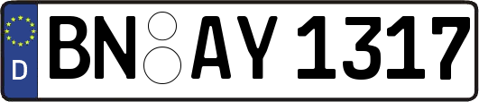 BN-AY1317