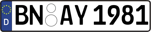 BN-AY1981