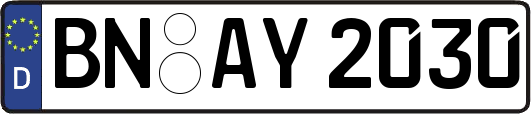 BN-AY2030
